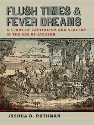 cover image of Flush Times and Fever Dreams